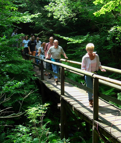 Frau-Holle-Land Witzenhausen - Kirschenland