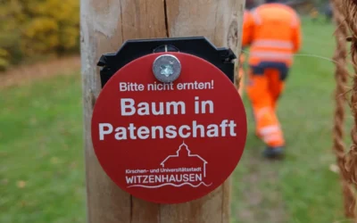 Baumpflanzaktion in Ermschwerd